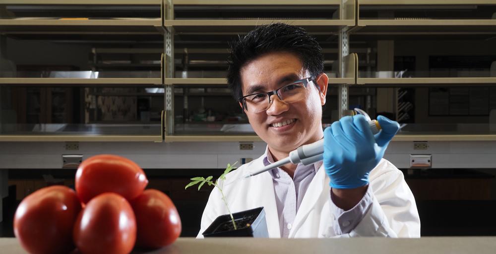 Dr. Tuan Tran, assistant professor of biology at the University of South Alabama, was awarded a $40,000 grant by the USDA and the Alabama Department of Agriculture and Industries to study a soil-based bacterium causes wilt in crops such as tomatoes, peppers and potatoes. 